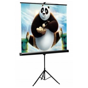 Ekran Projekcyjny 200x200 cm 112 Cali SBOX PSMT-112 Statyw