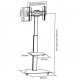 Techly 303430 - Mobilny stojak podłogowy do telewizora LCD 37-70 cali 40kg